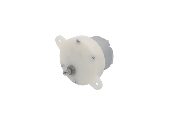 41 mm Spur Gear Motor Modell JS40 DC 12V 24V mit 60RPM gebürsteten Gleichstrommotor