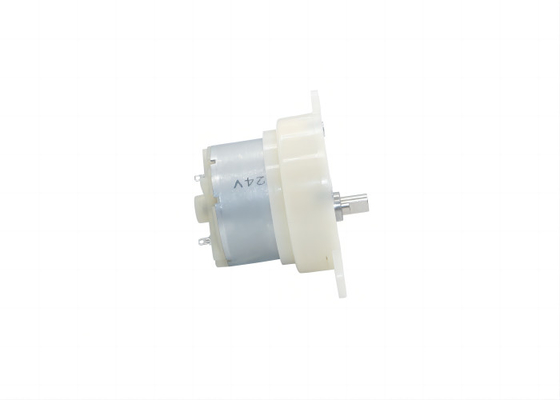 41 mm Spur Gear Motor Modell JS40 DC 12V 24V mit 60RPM gebürsteten Gleichstrommotor