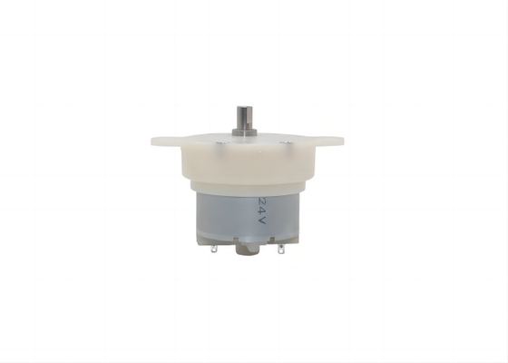 41 mm Spur Gear Motor Modell JS40 DC 12V 24V mit 60RPM gebürsteten Gleichstrommotor
