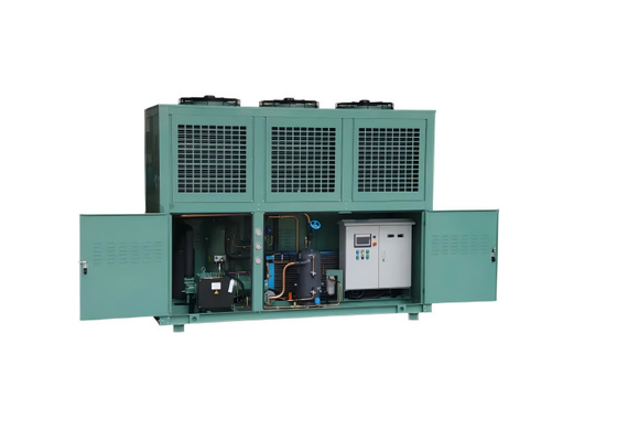 Bitzer Kaltraum-Kondensationseinheit R744 Kompressor CO2-Kühlsystem