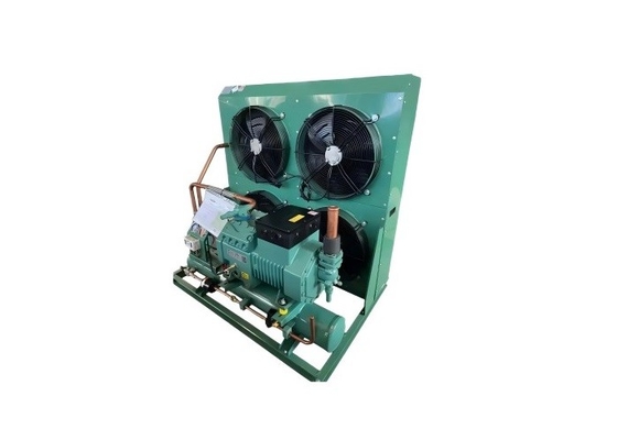 Fabrik 3hp 5hp 6hp 10hp Deutschland Luftgekühlte Kompressor-Kondensationseinheit für Kühlsystemkühlung