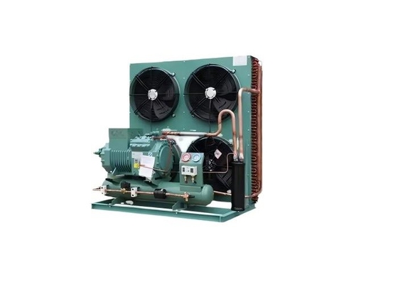 Fabrik 3hp 5hp 6hp 10hp Deutschland Luftgekühlte Kompressor-Kondensationseinheit für Kühlsystemkühlung