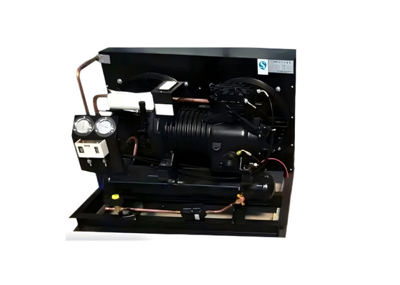 Fabrik 3hp 5hp 6hp 10hp Deutschland Luftgekühlte Kompressor-Kondensationseinheit für Kühlsystemkühlung