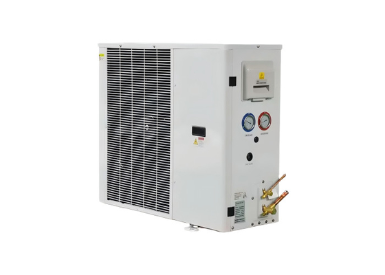 5HP-Kondensationsanlage Kühlraumkühlsystem Kältemarchiv Kompressor Kühlkondensationsanlage